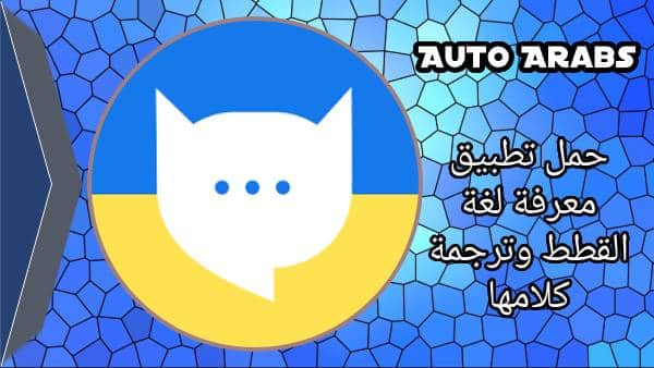 حمل تطبيق معرفة لغة القطط وترجمة كلامها